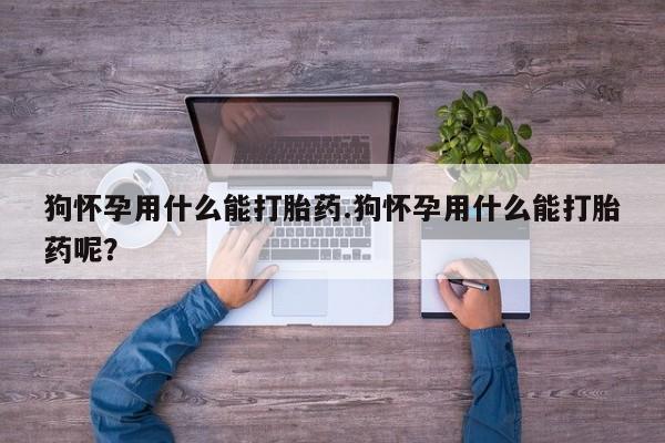 米非米索狗怀孕用什么能打胎药.狗怀孕用什么能打胎药呢？
