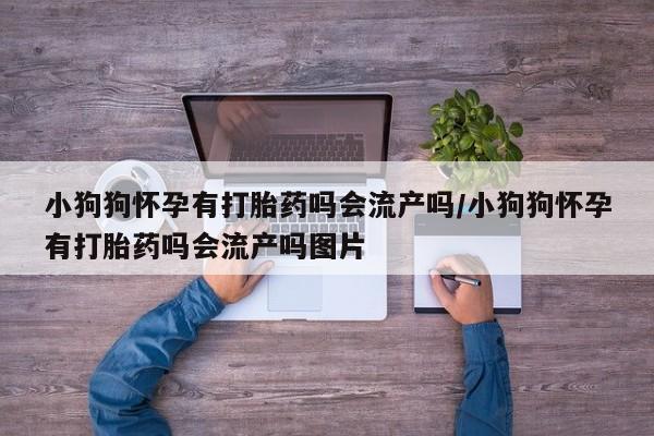 米非米索小狗狗怀孕有打胎药吗会流产吗/小狗狗怀孕有打胎药吗会流产吗图片