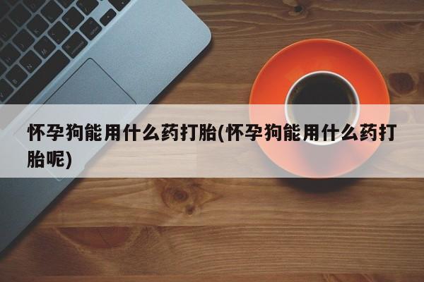 米非米索怀孕狗能用什么药打胎(怀孕狗能用什么药打胎呢)